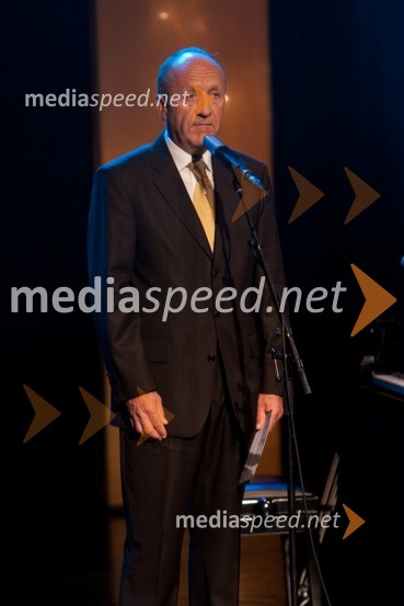 Branko Pavlin, predsednik uprave DnevnikSlovenska gazela 2010