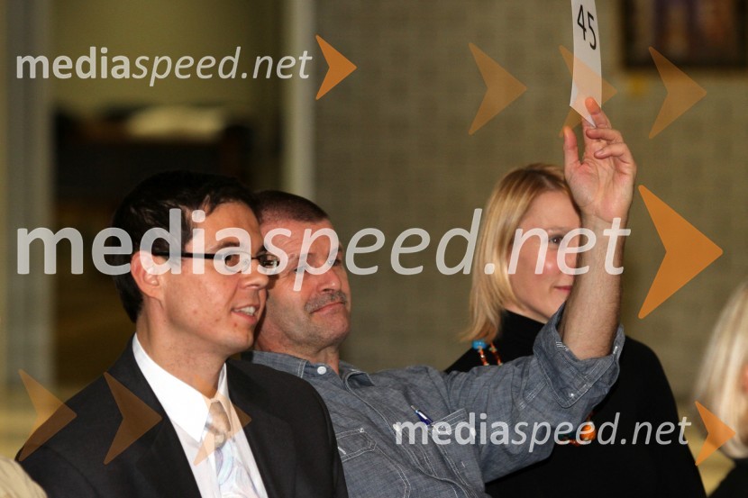 V rumenem okvirju, dobrodelna dražba