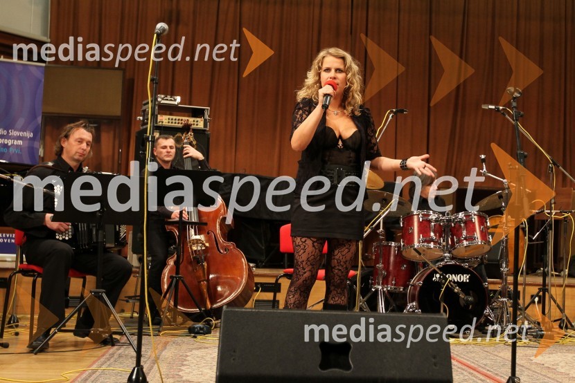 Dejan Mesec, harmonika, Aleš Avbelj, kontrabas, Anika Horvat, pevka in Aleš Rendla - bobniFestival Slovenskega šansona 2010