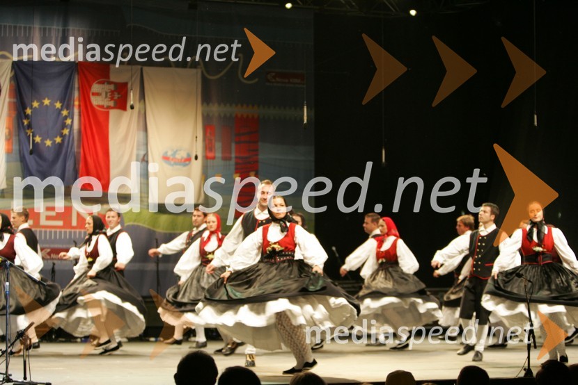 Folklorna skupinaFestival Lent 2006