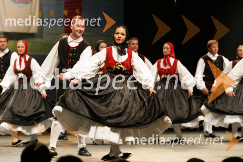 Folklorna skupinaFestival Lent 2006
