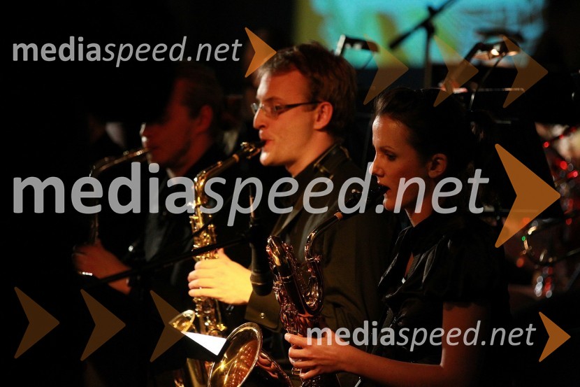 	Sekcija saksofonistov Big BendaDobrodelni Miklavžev koncert Big benda Glasbene šole Gornja Radgona z Otom Pestnerjem