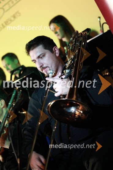 Boštjan Tement, pozavnistDobrodelni Miklavžev koncert Big benda Glasbene šole Gornja Radgona z Otom Pestnerjem