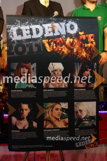 Koledar Ledenovroče 2011Svečana prednovoletna zabava Agencije Ekskluzivno ter predstavitev koledarja Ledenovroče 2011