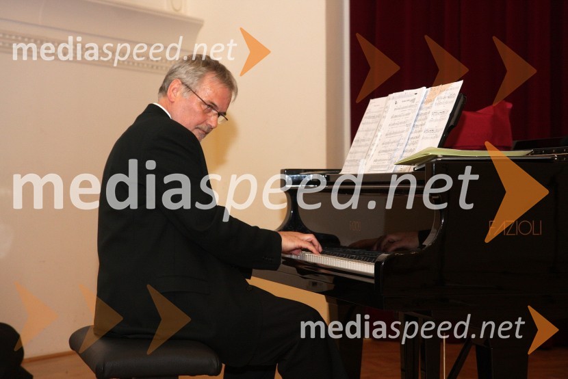 Združenje Koraki za korakce, dobrodelni božični koncert