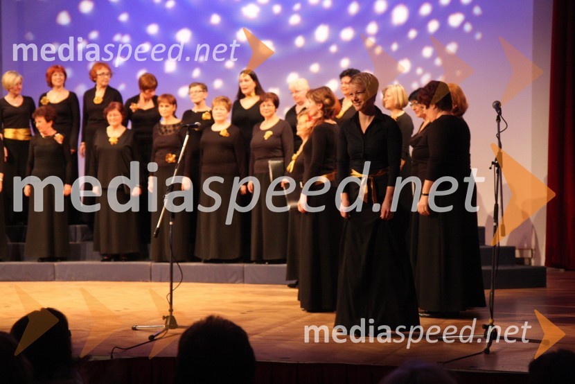 Ženski pevski zbor Glasbena Matica Maribor in Zsuzsa Budavari Novak, dirigentka Akademskega pevskega zbora Maribor ter Ženskega pevskega zbora Glasbena maticaZdruženje Koraki za korakce, dobrodelni božični koncert