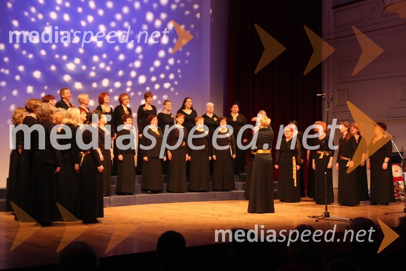 Ženski pevski zbor Glasbena Matica Maribor in Zsuzsa Budavari Novak, dirigentka Akademskega pevskega zbora Maribor ter Ženskega pevskega zbora Glasbena maticaZdruženje Koraki za korakce, dobrodelni božični koncert