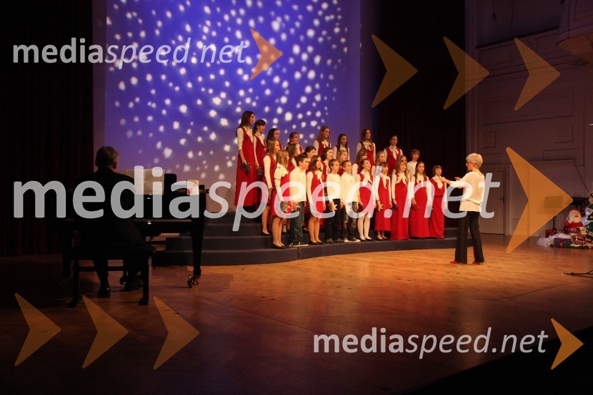 Mladinski pevski zbor OŠ Bratov PolančičevZdruženje Koraki za korakce, dobrodelni božični koncert