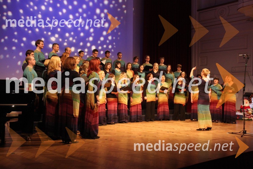 Akademski pevski zbor MariborZdruženje Koraki za korakce, dobrodelni božični koncert