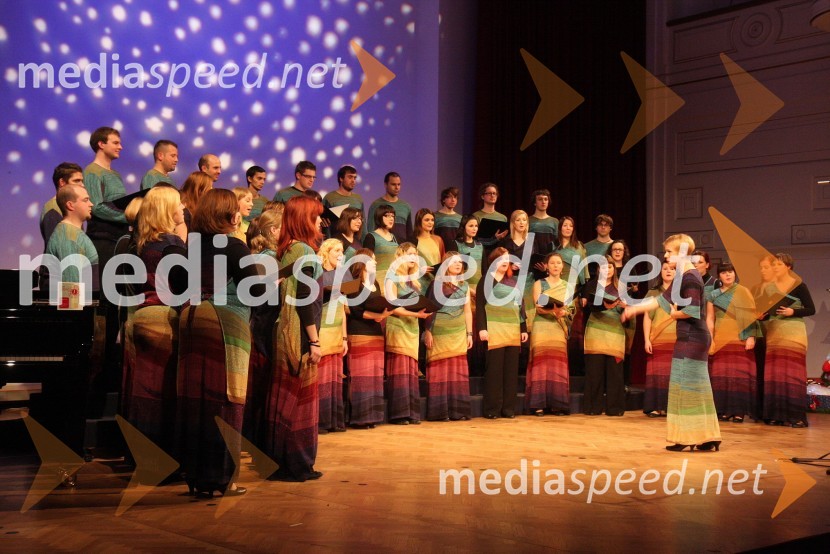 Akademski pevski zbor MariborZdruženje Koraki za korakce, dobrodelni božični koncert