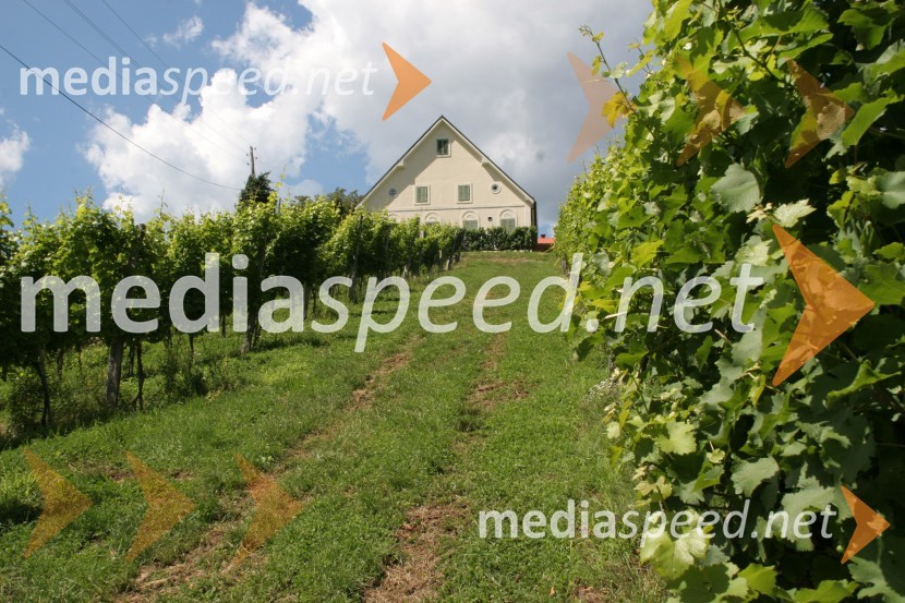 Fakulteta za kmetijstvo, UKC Pohorski dvor MeranovoMaribor, Slovenija