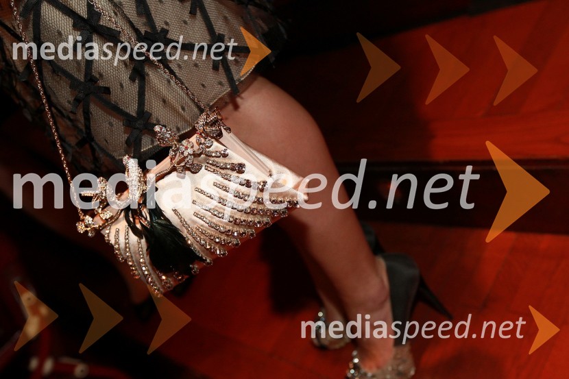 Torbica Tine MazeŠportnika leta 2010 sta Tina Maze in Dejan Zavec