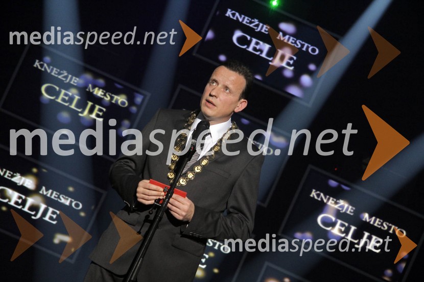 Bojan Šrot, župan Mestne občine CeljeNovoletni sprejem župana Mestne občine Celje Bojana Šrota