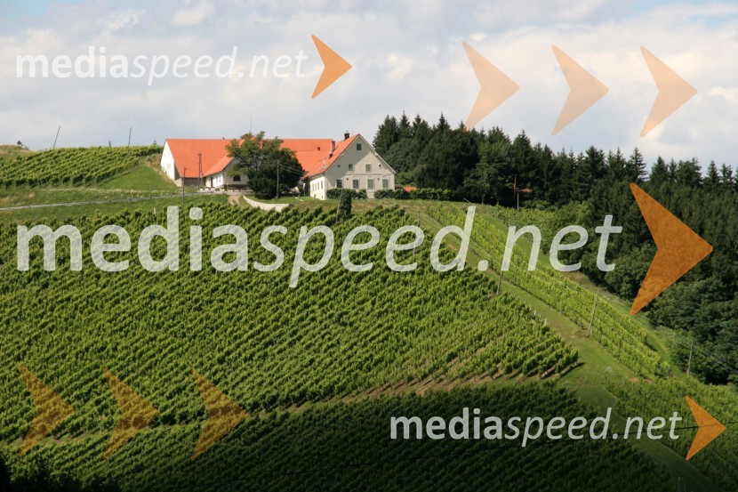 Vinograd Fakultete za kmetijstvo, UKC Pohorski dvor MeranovoMaribor, Slovenija