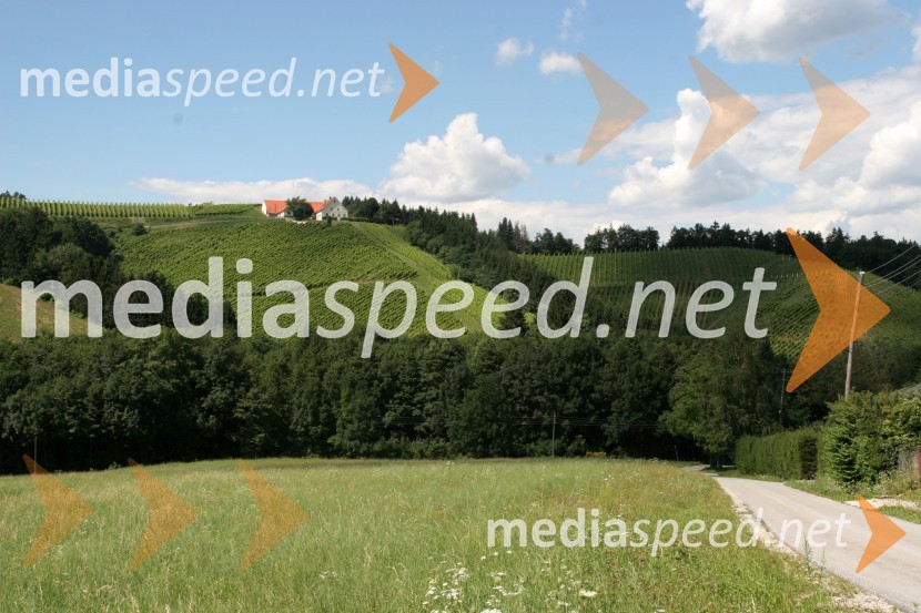 Vinograd Fakultete za kmetijstvo, UKC Pohorski dvor MeranovoMaribor, Slovenija