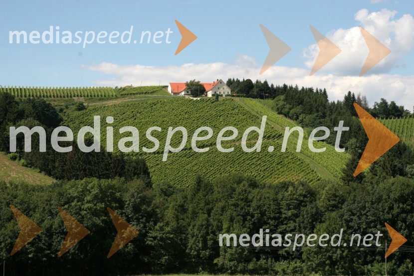 Vinograd Fakultete za kmetijstvo, UKC Pohorski dvor MeranovoMaribor, Slovenija