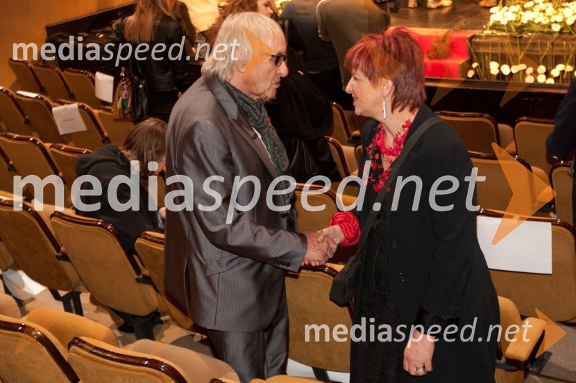 	Tone Fornezzi Tof, novinar in Majda Širca, ministrica za kulturoSlovenka leta 2010 je Petra Majdič - druženje pred dvorano SNG Drama Ljubljana