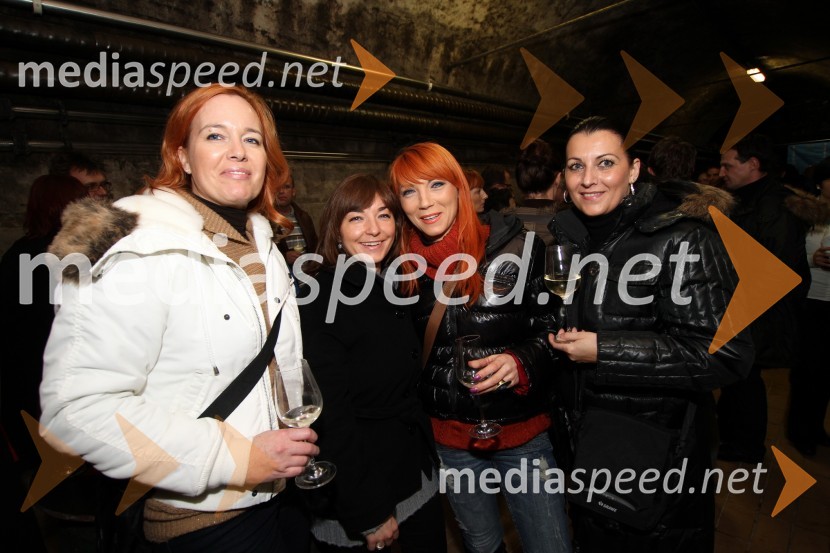 Jasna Gregorič, Karmen Leskovar, Doroteja Pukšič in Suzana Černel, Grawe Zavarovalnica d.d.47. Zlata lisica, druženje v Vinagovi kleti