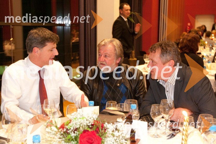 Slovenski avto leta 2011