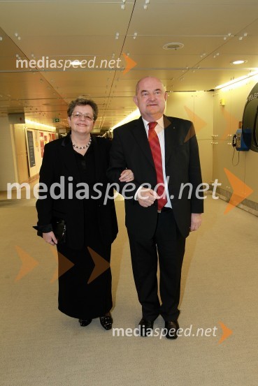 Veliki dobrodelni Lions ples