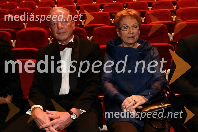 Veliki dobrodelni Lions ples