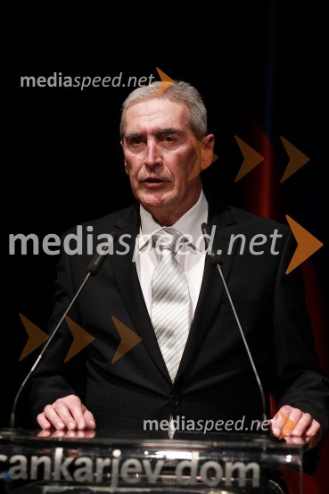 Aleš Čerin, podžupan Mestne občine LjubljanaVeliki dobrodelni Lions ples