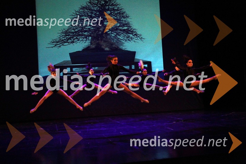 Plesna šola Urška Ljubljana, Mala mladinska skupinaVeliki dobrodelni Lions ples