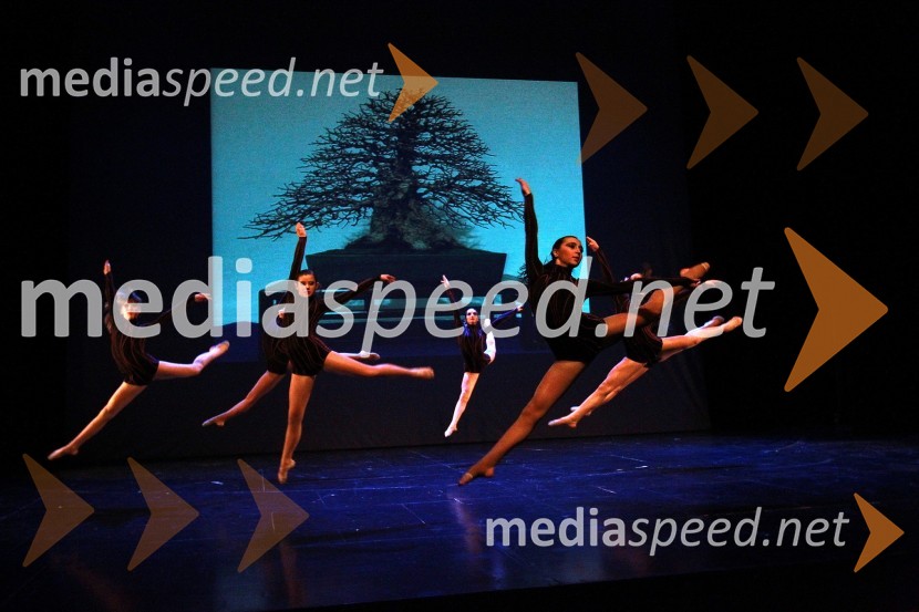 Plesna šola Urška Ljubljana, Mala mladinska skupinaVeliki dobrodelni Lions ples