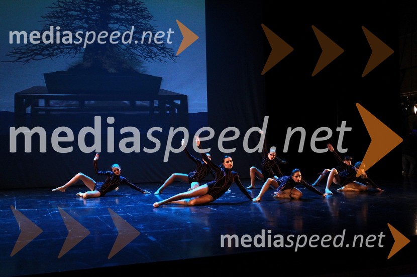 Plesna šola Urška Ljubljana, Mala mladinska skupinaVeliki dobrodelni Lions ples