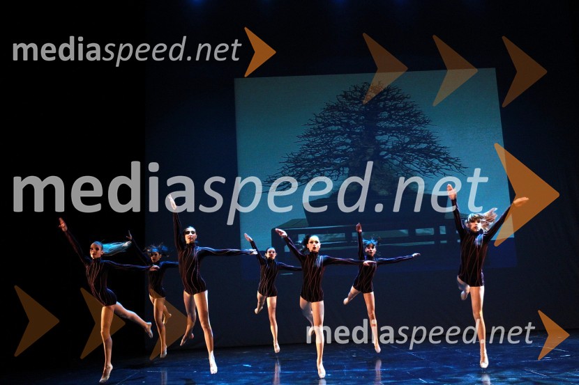 Plesna šola Urška Ljubljana, Mala mladinska skupinaVeliki dobrodelni Lions ples