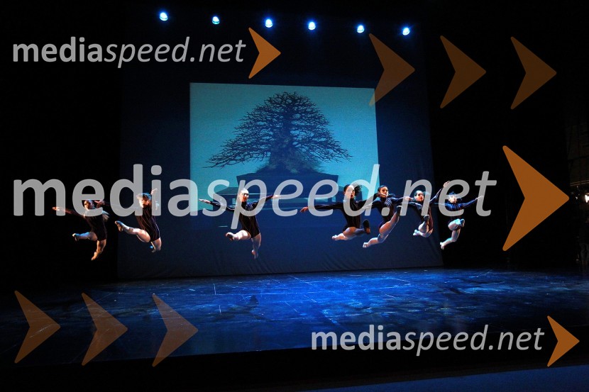 Plesna šola Urška Ljubljana, Mala mladinska skupinaVeliki dobrodelni Lions ples