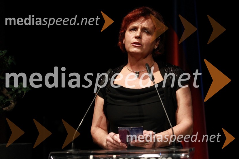 Veliki dobrodelni Lions ples