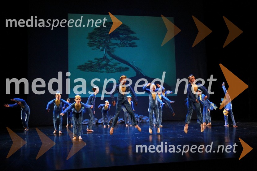 Plesna šola Urška Ljubljana, Pionirska formacijaVeliki dobrodelni Lions ples