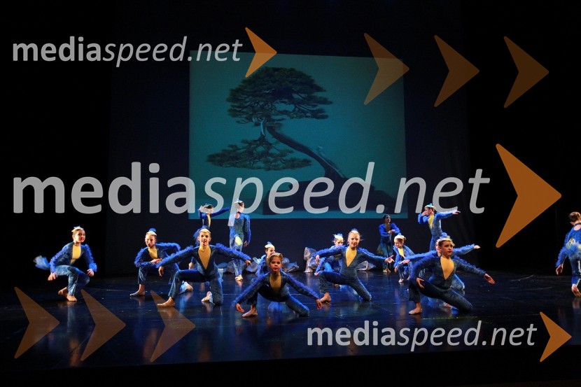 Plesna šola Urška Ljubljana, Pionirska formacijaVeliki dobrodelni Lions ples