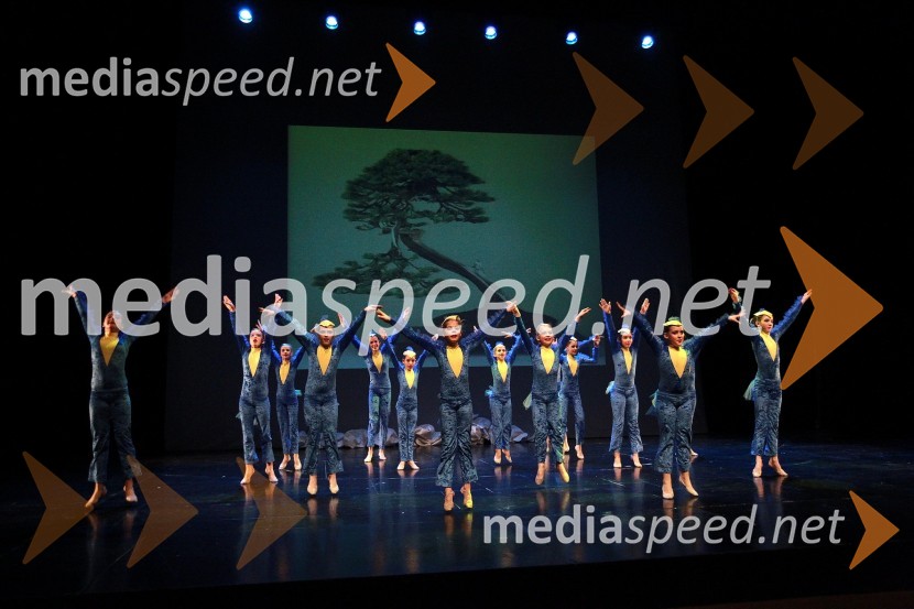 Plesna šola Urška Ljubljana, Pionirska formacijaVeliki dobrodelni Lions ples