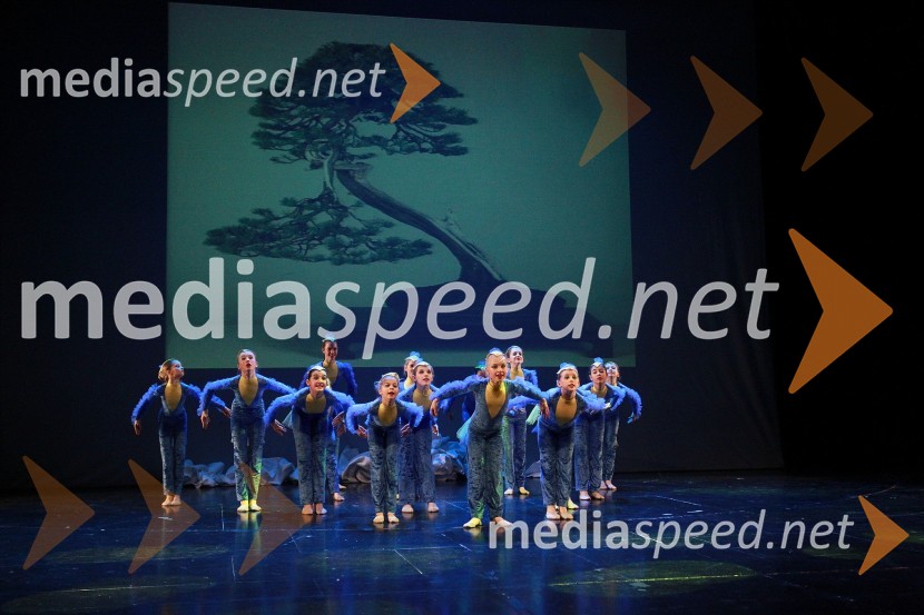 Plesna šola Urška Ljubljana, Pionirska formacijaVeliki dobrodelni Lions ples