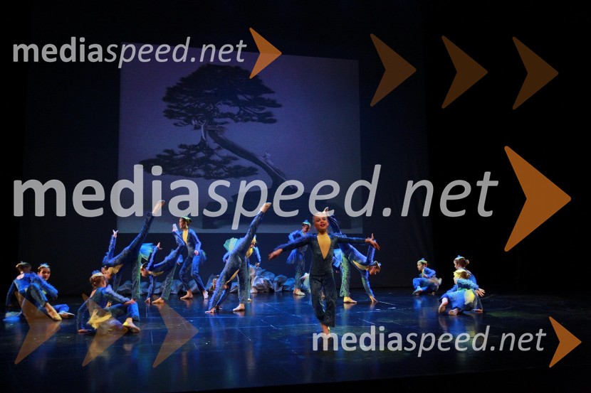 Plesna šola Urška Ljubljana, Pionirska formacijaVeliki dobrodelni Lions ples