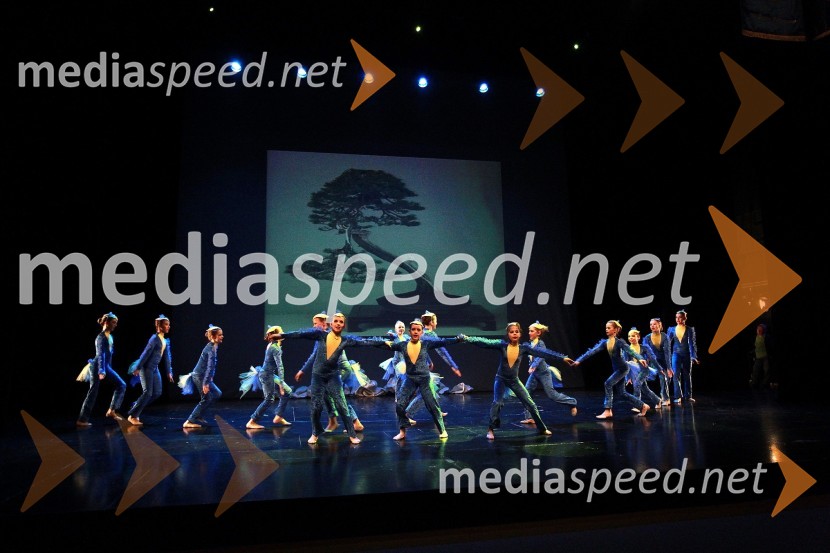 Plesna šola Urška Ljubljana, Pionirska formacijaVeliki dobrodelni Lions ples