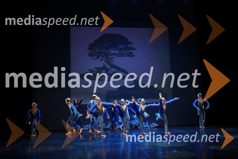 Veliki dobrodelni Lions ples