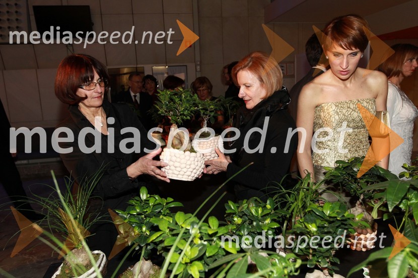 Veliki dobrodelni Lions ples