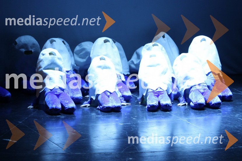 Veliki dobrodelni Lions ples