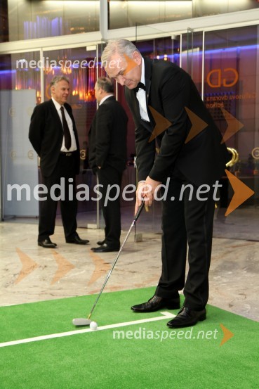 Nedeljko Dabić, podjetnikVeliki dobrodelni Lions ples