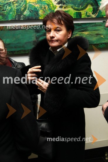 Irma Pavlinič Krebs, ministrica za javno upravoObisk predstavnikov Vlade Republike Slovenije v Mariboru