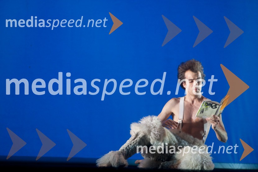 Blaž Šef, igralecProslava ob kulturnem prazniku in podelitev Prešernovih nagrad