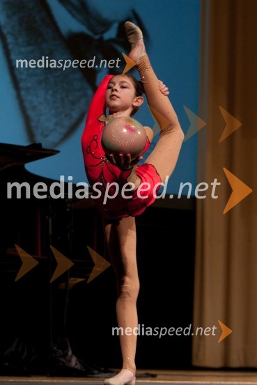 Kaja Purič, klub za športno ritmično gimnastiko46. podelitev Bloudkovih priznanj za leto 2010