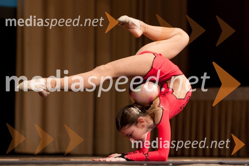 Kaja Purič, klub za športno ritmično gimnastiko46. podelitev Bloudkovih priznanj za leto 2010