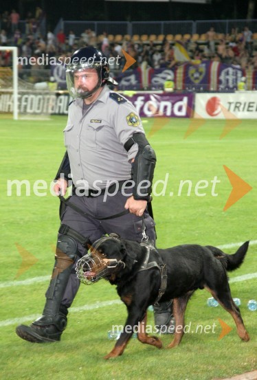 Specialec s psomNK Maribor - Villareal CF, nogometna tekma