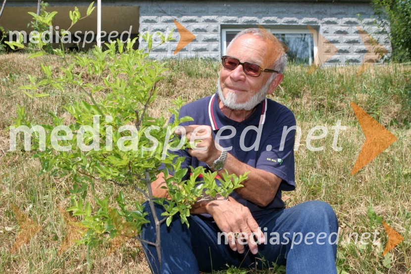 Iko Otrin, baletna legenda in drevo žižulaIko Otrin, baletna legenda