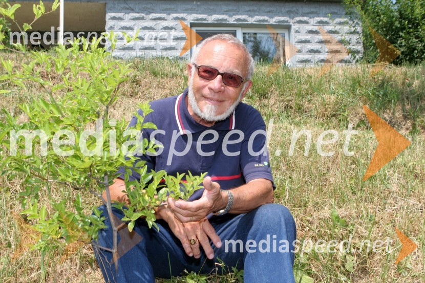 Iko Otrin, baletna legenda in drevo žižulaIko Otrin, baletna legenda