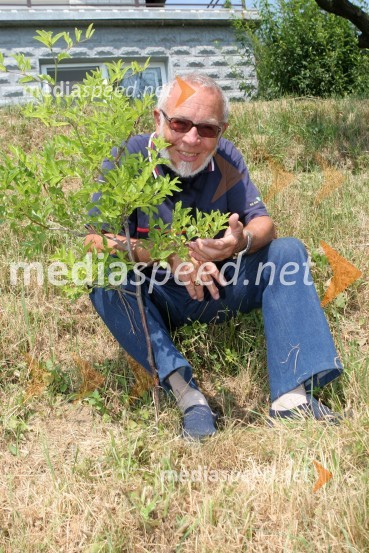 Iko Otrin, baletna legenda in drevo žižulaIko Otrin, baletna legenda